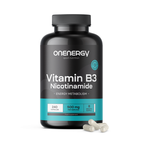 Vitamin B3 500 mg – Niacinamide, 240 capsules
