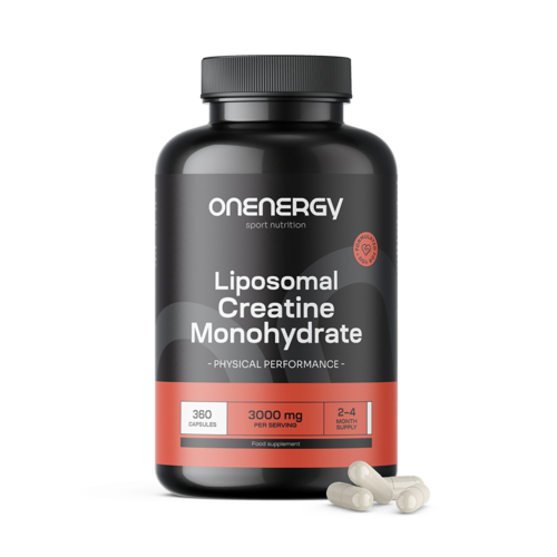 Liposomal Creatine Monohydrate 3000 mg, 360 capsules