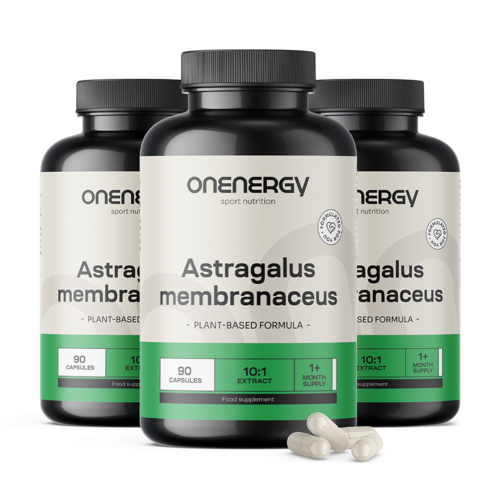 3x Astragalus – Extract 10:1, total 270 capsules