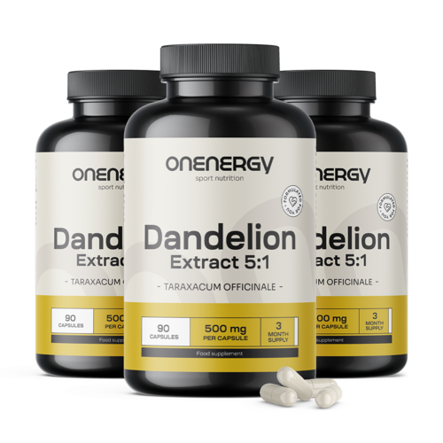 3x Dandelion – Extract 5:1, total 270 capsules