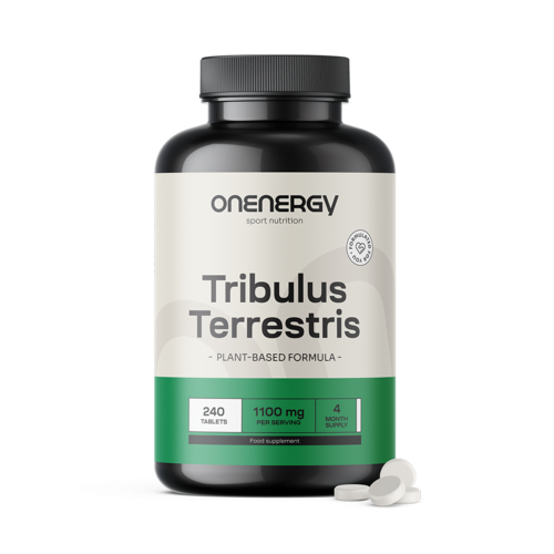 Tribulus (Tribulus Terrestris) – Extract 15:1, 240 tablets